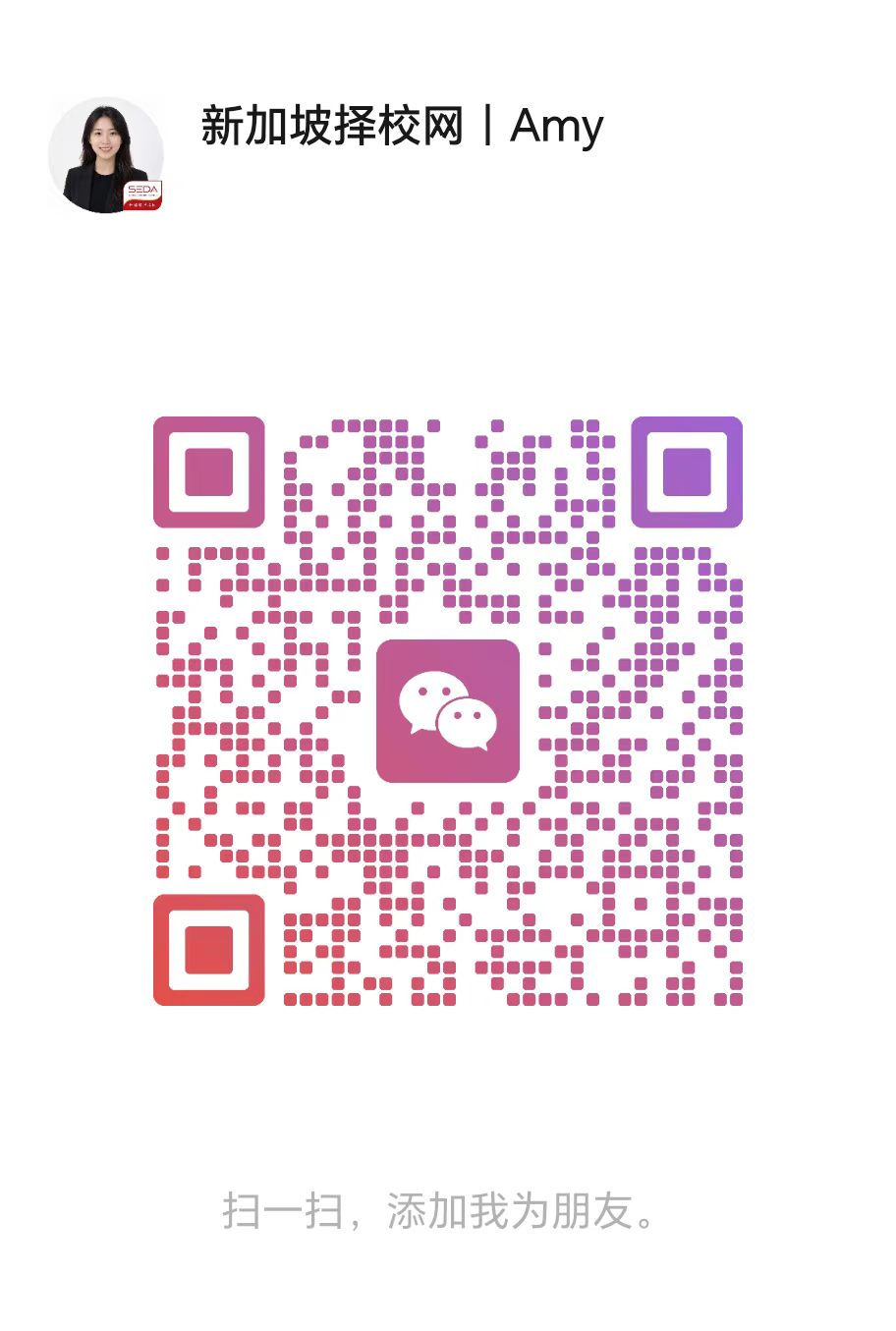 新加坡择校顾问 Amy 微信二维码